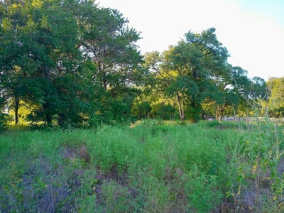 Property photo 5 at 100 Serenity DR - SERENITY SPRINGS, Liberty Hill, TX