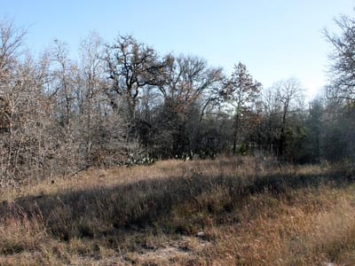 Primary bedroom at 100 Track Road Hwy - n/a, Dale, TX