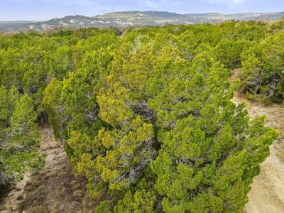 Primary bedroom at 10033 Lime Creek RD - N/A, Volente, TX