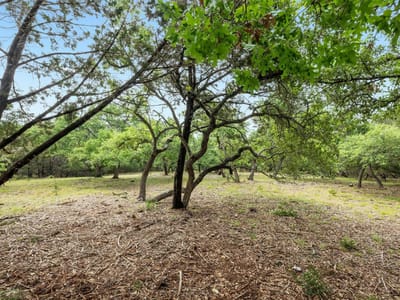Kitchen at 1005 Covered Bridge Dr - The Preserve At La Ventana Ph Two, Driftwood, TX