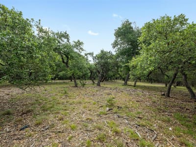 Primary bedroom at 1005 Covered Bridge Dr - The Preserve At La Ventana Ph Two, Driftwood, TX
