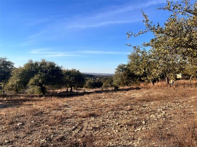 Primary bedroom at 1008 Bell Springs RD - River Oaks Ranch, Dripping Springs, TX