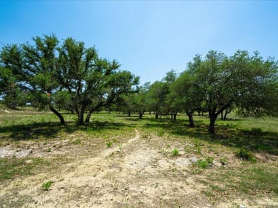 Property photo 2 at 101 Mystic Overlook DR - NA, Dripping Springs, TX