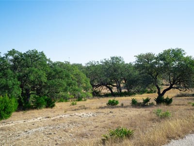 Property photo 3 at 101 Mystic Overlook DR - NA, Dripping Springs, TX