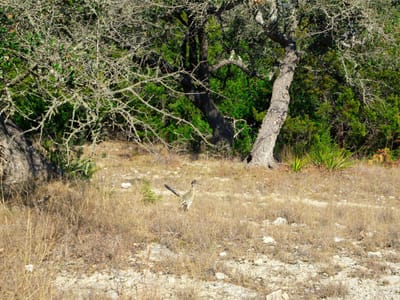 Property photo 4 at 101 Mystic Overlook DR - NA, Dripping Springs, TX