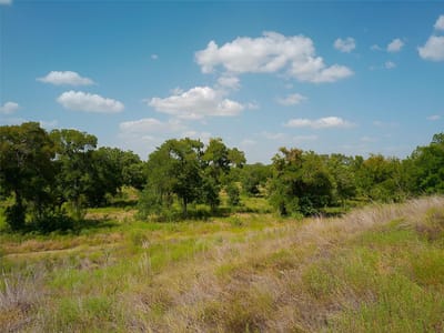 Photo 2 of 25 at 101 Scotty LN - Liberty Hill, Liberty Hill, TX
