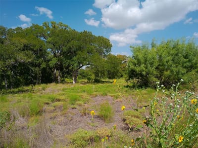 Photo 3 of 25 at 101 Scotty LN - Liberty Hill, Liberty Hill, TX