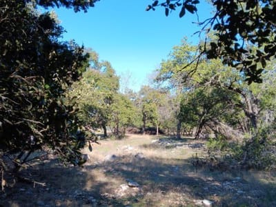 Primary bedroom at 101 Timber Line Rd - North Lake Sec E, Georgetown, TX