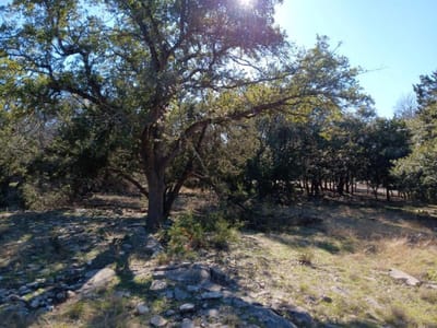 Photo 5 - 101 Timber Line RD Photo 5 of 15 at 101 Timber Line RD - Georgetown, Georgetown, TX