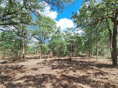 Primary bedroom at 1014 Beaver Lake DR - Beaver Creek Land Owners, Caldwell, TX