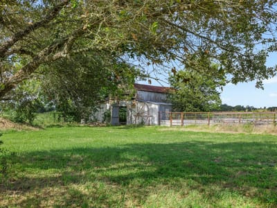 Primary bedroom at 1015 Fm 112 RD - 3 bed 2 bath home
