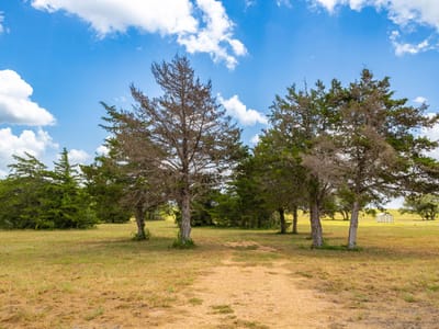 Kitchen at 1021 E Old Hallettsville RD - ABS A180 FAIRES W A, 6.167 ACRES,NO BLDGS OR M, Flatonia, TX