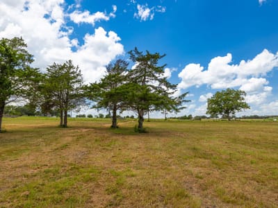 Primary bedroom at 1021 E Old Hallettsville RD - ABS A180 FAIRES W A, 6.167 ACRES,NO BLDGS OR M, Flatonia, TX
