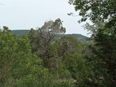Property photo 5 at 10213 Womack DR - Trails End, Leander, TX