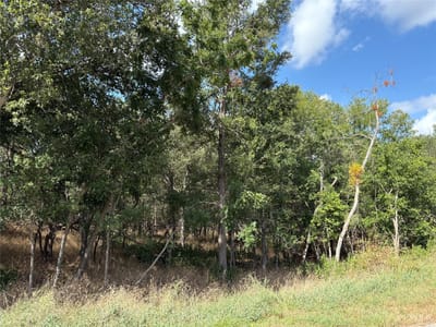 Primary bedroom at 103 & 105 W Kikipua LN - Tahitian Village,, Bastrop, TX