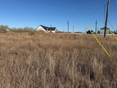 Primary bedroom at 103 Desperado Loop - Twin Creeks Sub, Del Valle, TX