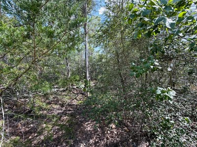 Property photo 4 at 103 Nuupia CT - Tahitian Village Unit 5, Bastrop, TX