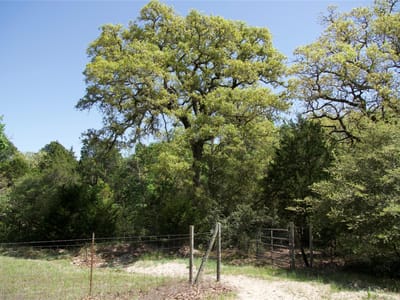 Primary bedroom at 1035 Old Sayers Rd - Stoval, Geo H, Elgin, TX