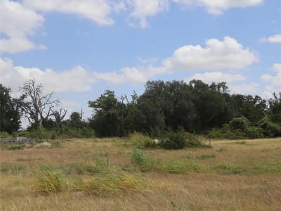 Property photo 4 at 104 Mesones RD - San Augustin, Florence, TX
