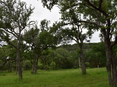 Photo 5 - 10430 Ranch Road 2341 Photo 5 of 36 at 10430 Ranch Road 2341 - Burnet, Burnet, TX