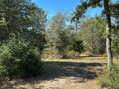 Property photo 2 at 105 Colony Line TRL - Ranches of Colony Line Trail, Dale, TX