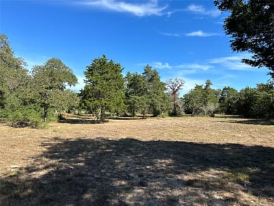 Property photo 5 at 105 Colony Line TRL - Ranches of Colony Line Trail, Dale, TX
