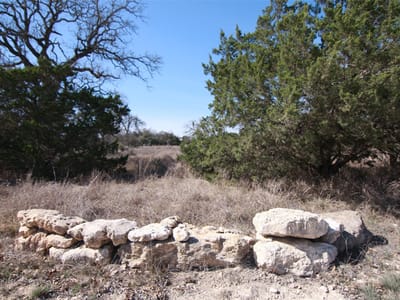 Primary bedroom at 105 Daisy Ln - Vitolich Plaza, Dripping Springs, TX