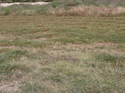 Property photo 3 at 105 Huerta RD - San Augustin, Florence, TX