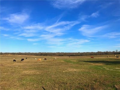 Property photo 5 at 10521 Bitting School Rd - n/a, Manor, TX
