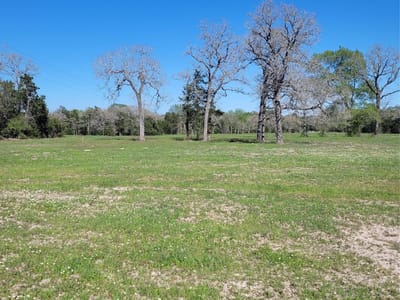 Kitchen at 10557 Roy RD - NA, Flatonia, TX