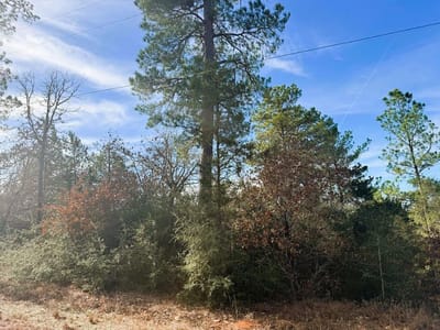 Property photo 3 at 106 Olomana CT - Tahitian Village,, Bastrop, TX