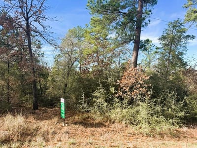 Property photo 4 at 106 Olomana CT - Tahitian Village,, Bastrop, TX