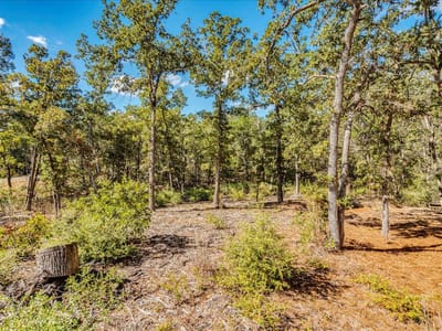 Primary bedroom at 106 Wampum - Indian Lake, Smithville, TX