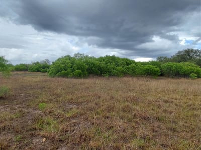 Kitchen at 1060 Fox Ln Unit #Lot #4 - Fox Tail Estates, Lockhart, TX