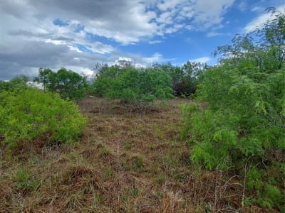 Primary bedroom at 1060 Fox Ln Unit #Lot #4 - Fox Tail Estates, Lockhart, TX