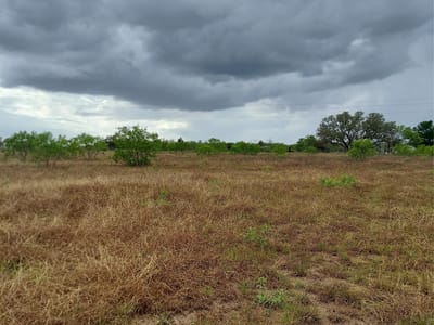 Bathroom at 1060 Fox Ln Unit #Lot #4 - Fox Tail Estates, Lockhart, TX