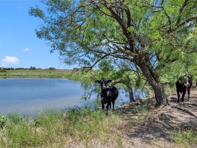 Primary bedroom at 10600 County Road 210 - none, Bertram, TX