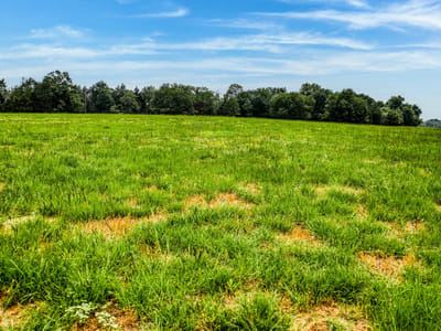 Primary bedroom at 10610 Cr 322 - A0168, Caldwell, TX