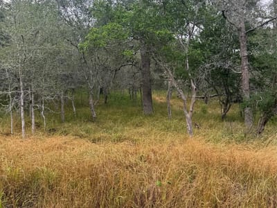Property photo 4 at 107 and 109 Hauula CT - Tahitian Village,, Bastrop, TX