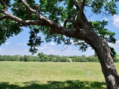 Property photo 4 at 1070 Muehr RD - O'Farrell, Weimar, TX