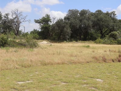 Property photo 3 at 108 Mesones RD - San Augustin, Florence, TX