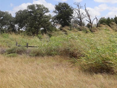 Property photo 4 at 108 Mesones RD - San Augustin, Florence, TX