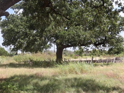 Property photo 5 at 108 Mesones RD - San Augustin, Florence, TX