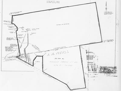 Property photo 3 at 1087 Seawillow RD - A009 GEORGE, JAMES, ACRES 70.125 & A020 Neill, Joh, Lockhart, TX