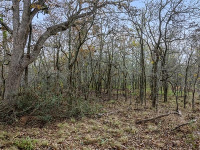 Primary bedroom at 1088 Bugtussle Ln - Paso Fino Meadows, Luling, TX