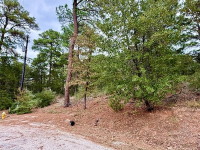 Living area at 109 and 115 Olomana Ct - Tahitian Village, Bastrop, TX
