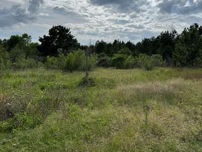 Primary bedroom at 109 Pintail LN - Circle D, Paige, TX