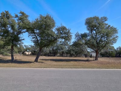 Primary bedroom at 10913 Vista Heights Dr - Sage Crk Sub, Georgetown, TX