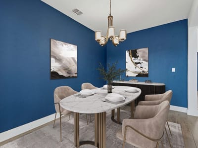 Primary bedroom at 1102 Sage Thrasher CIR - 4 bed 3 bath home