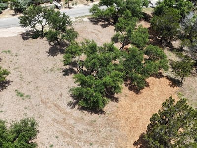 Property photo 4 at 1106 Larkhall DR - Briarcliff Inc Sec 14, Spicewood, TX